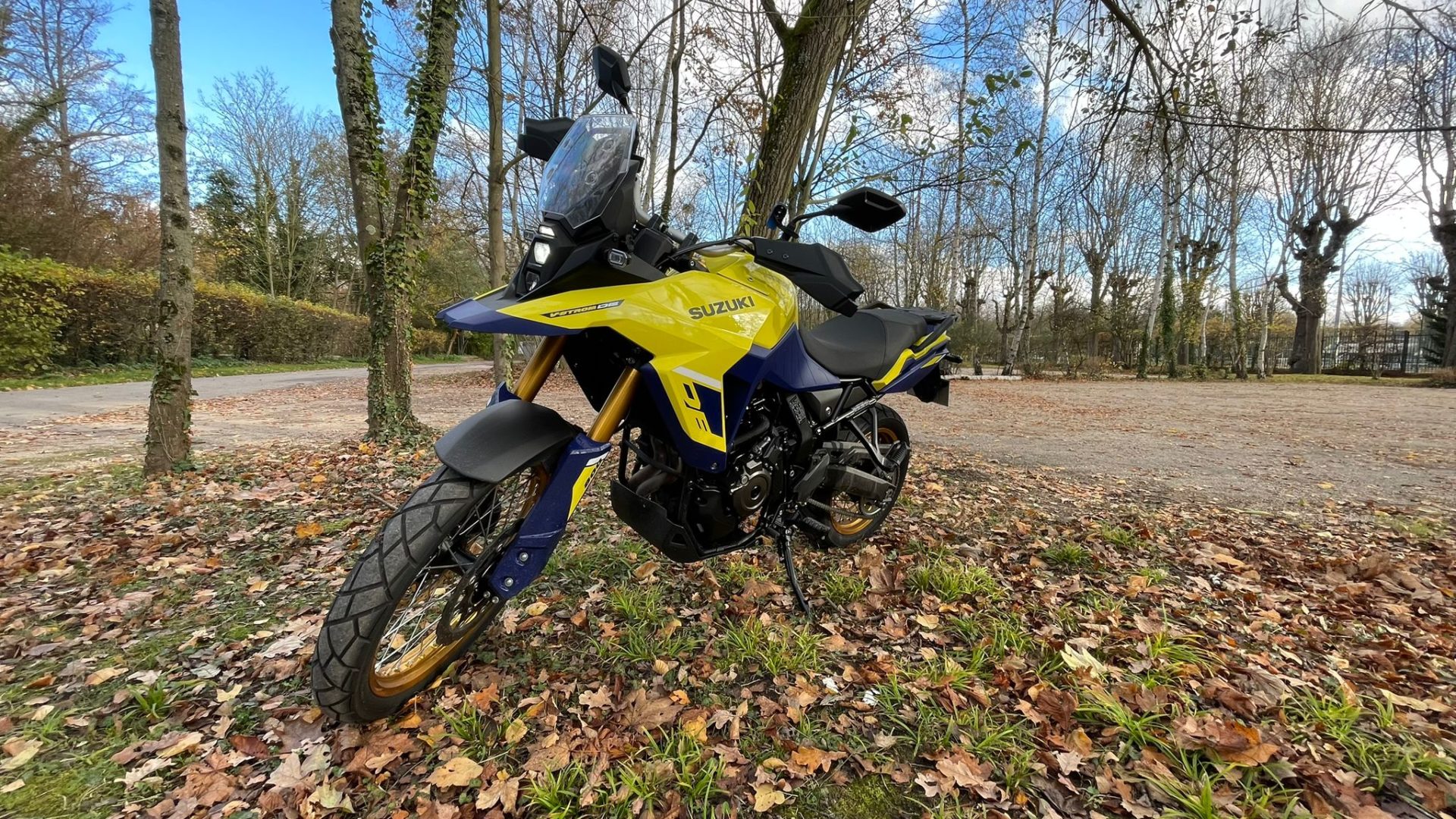 Photo de la moto Suzuki V-Strom 800DE dans la forêt.